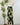 Dex Palm Blossom Midi Dress-152 Dresses - Long-Little Bird Boutique