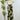 Dex Palm Blossom Midi Dress-152 Dresses - Long-Little Bird Boutique