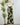 Dex Palm Blossom Midi Dress-152 Dresses - Long-Little Bird Boutique