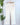 Wit & Wisdom Bennett Barely Bootcut Jeans in Optic White-210 Denim-Little Bird Boutique