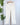 Wit & Wisdom Bennett Barely Bootcut Jeans in Optic White-210 Denim-Little Bird Boutique