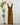 Always Poised Tie-Back Midi Dress in Iced Coffee-152 Dresses - Long-Little Bird Boutique