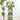 Bellingham Midi Dress in Green-152 Dresses - Long-Little Bird Boutique