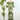 Bellingham Midi Dress in Green-152 Dresses - Long-Little Bird Boutique