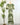 Bellingham Midi Dress in Green-152 Dresses - Long-Little Bird Boutique