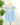 Dex Mini Blue Stripe Ruffle Top-112 - Woven Top S/S (Dec - May)-Little Bird Boutique