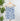 Dex Tie Shoulder Top in Blue Wash w/ White Flower-112 - Woven Top S/S (Dec - May)-Little Bird Boutique