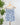 Dex Tie Shoulder Top in Blue Wash w/ White Flower-112 - Woven Top S/S (Dec - May)-Little Bird Boutique