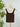 Nikibiki Floral Textured Lace Tank in Coffee Bean-122 - Jersey Tops S/S (Dec - May)-Little Bird Boutique