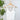 Nikibiki Lace V Neck Top in White-122 - Jersey Tops S/S (Dec - May)-Little Bird Boutique