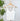 Nikibiki Lace V Neck Top in White-122 - Jersey Tops S/S (Dec - May)-Little Bird Boutique