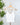 Nikibiki Lace V Neck Top in White-122 - Jersey Tops S/S (Dec - May)-Little Bird Boutique