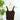 Nikibiki Lace V Neck Top in Coffee Bean-122 - Jersey Tops S/S (Dec - May)-Little Bird Boutique