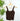 Nikibiki Lace V Neck Top in Coffee Bean-122 - Jersey Tops S/S (Dec - May)-Little Bird Boutique