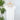 Nikibiki Cap Sleeve Scoop Neck Top in White-122 - Jersey Tops S/S (Dec - May)-Little Bird Boutique