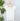 Nikibiki Cap Sleeve Scoop Neck Top in White-122 - Jersey Tops S/S (Dec - May)-Little Bird Boutique