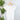 Nikibiki Cap Sleeve Scoop Neck Top in White-122 - Jersey Tops S/S (Dec - May)-Little Bird Boutique