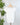 Nikibiki Cap Sleeve Scoop Neck Top in White-122 - Jersey Tops S/S (Dec - May)-Little Bird Boutique