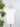 Nikibiki Cap Sleeve Scoop Neck Top in White-122 - Jersey Tops S/S (Dec - May)-Little Bird Boutique