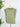 Wit & Wisdom Sleeveless Ruche Top in Moss Green-122 - Jersey Tops S/S (Dec - May)-Little Bird Boutique