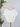 Soft Structure Sweater in White-132 - Sweaters S/S (Dec - May)-Little Bird Boutique