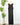 Maverick Maxi Dress in Charcoal-152 Dresses - Long-Little Bird Boutique