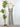 Anthem the Label Twist Front Midi Dress in Navy/Natural-152 Dresses - Long-Little Bird Boutique