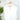 Valor Top in White-112 - Woven Top S/S (Dec - May)-Little Bird Boutique
