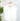 Valor Top in White-112 - Woven Top S/S (Dec - May)-Little Bird Boutique