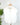 Valor Top in White-112 - Woven Top S/S (Dec - May)-Little Bird Boutique