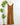 Wit & Wisdom Butter Toffee Midi Dress-152 Dresses - Long-Little Bird Boutique