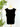 Z Supply Leisurely Tank in Black-122 - Jersey Tops S/S (Dec - May)-Little Bird Boutique