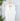 Kut from the Kloth Sara Sleeveless Twisted Top in White-112 - Woven Top S/S (Dec - May)-Little Bird Boutique