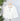 Wit & Wisdom Roll Tab Jacket in White-141 Outerwear Coats & Jackets-Little Bird Boutique