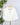 Wit & Wisdom Roll Tab Jacket in White-141 Outerwear Coats & Jackets-Little Bird Boutique