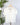 Dear John Chaya Top in Off White-112 - Woven Top S/S (Dec - May)-Little Bird Boutique