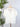Dear John Chaya Top in Off White-112 - Woven Top S/S (Dec - May)-Little Bird Boutique