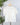 Dear John Chaya Top in Off White-112 - Woven Top S/S (Dec - May)-Little Bird Boutique