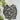 Wit & Wisdom Animal Print Top in Charcoal/Ecru-111 - Woven Top F/W (June- Nov)-Little Bird Boutique