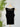 Kut from the Kloth Anastasia Tank in Black-121 - Jersey Tops F/W (June - Nov)-Little Bird Boutique
