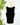 Kut from the Kloth Anastasia Tank in Black-121 - Jersey Tops F/W (June - Nov)-Little Bird Boutique
