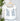 Lovestitch Ruffle Sleeve Top in White with Blue Embroidery
