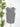 Dear John Zo Striped Tank in Black/White