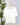 Dear John Catrina Sweater in Off White-131 - Sweaters F/W (June - Nov)-Little Bird Boutique