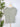 Anthem the Label Printed Linen Like Tee in Olive Multi-122 - Jersey Tops S/S (Dec - May)-Little Bird Boutique