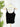 Z Supply Second Skin Cami in Black-121 - Jersey Tops F/W (June - Nov)-Little Bird Boutique