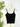 Z Supply Second Skin Cami in Black-121 - Jersey Tops F/W (June - Nov)-Little Bird Boutique