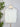Z Supply Merit Top in White-111 - Woven Top F/W (June- Nov)-Little Bird Boutique