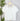 Z Supply Nomad V Neck Tee in White-121 - Jersey Tops F/W (June - Nov)-Little Bird Boutique