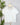 Z Supply Nomad V Neck Tee in White-121 - Jersey Tops F/W (June - Nov)-Little Bird Boutique